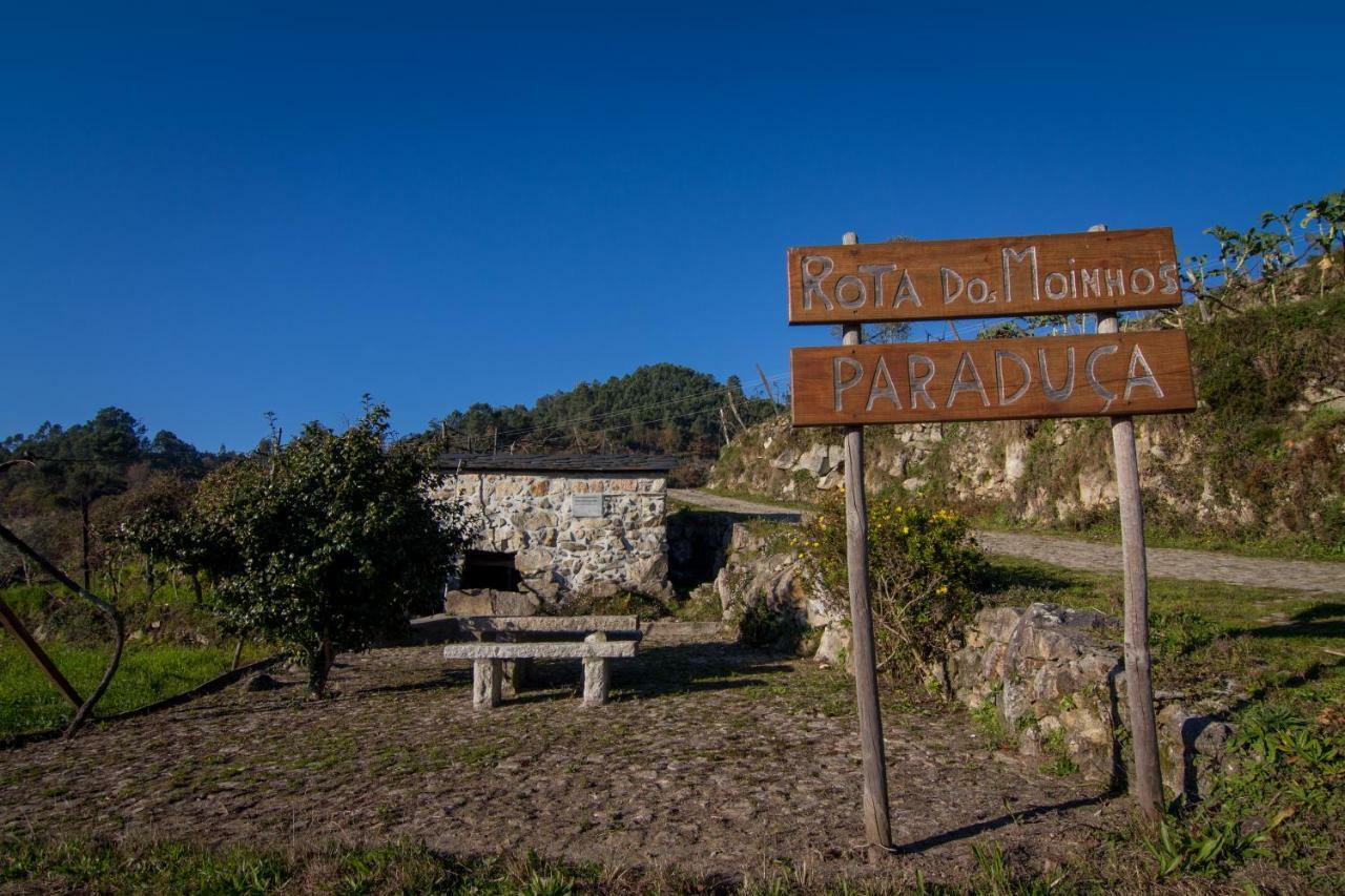 Cabanelas Country House - Casa Do Afonso Vale de Cambra Eksteriør billede